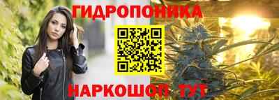индика Кизляр