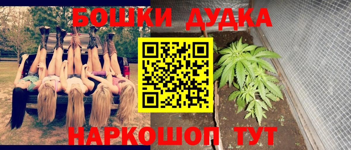 Шишки марихуана план  Вход с VPN  Марихуана план  Гурьевск  Бошки марихуана LSD WEED 
